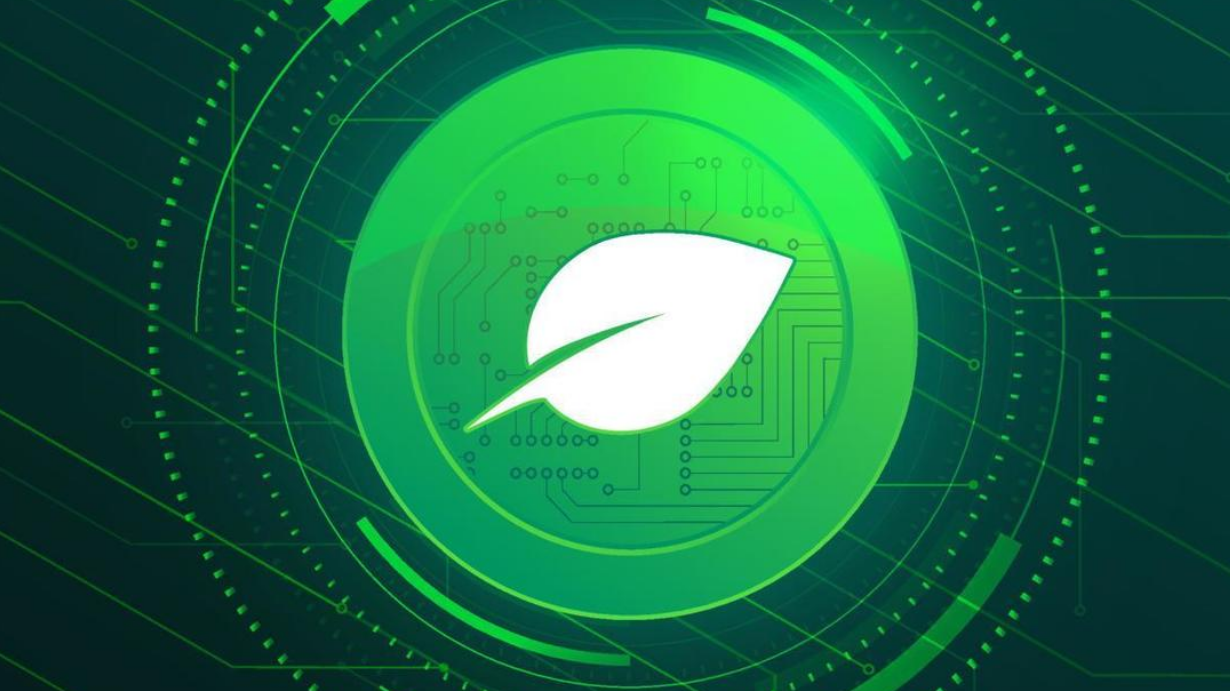 什么是奇亚币？